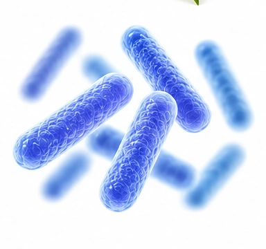 Probiotic Blend